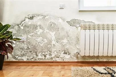 Praktijkbeeld bij Kruipruimte ventileren: veelgemaakte fouten, signalen en oplossingen